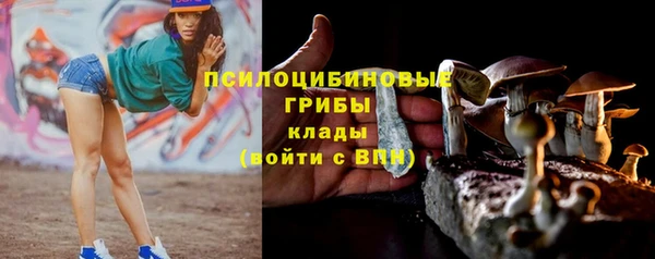 не бодяженный Козельск