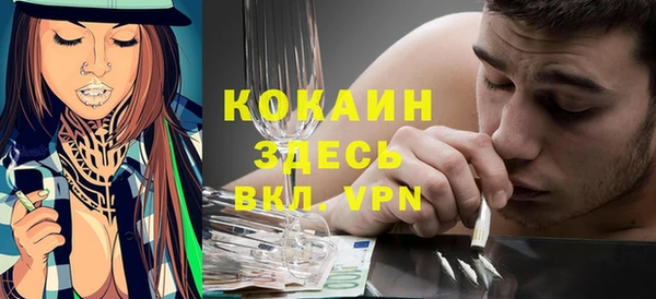 тгк Корсаков
