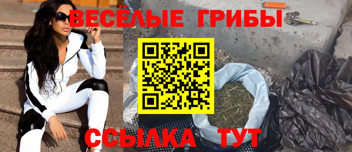 Галлюциногенные грибы GOLDEN TEACHER Барнаул